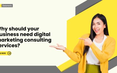 Why should your business need digital marketing consulting services?