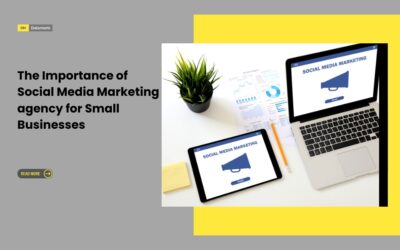 The Importance of Social Media Marketing agency for Small Businesses