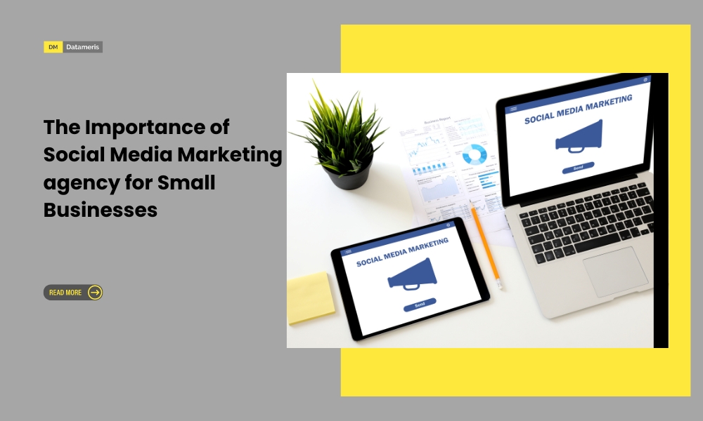The Importance of Social Media Marketing agency for Small Businesses